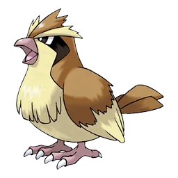 Pidgey