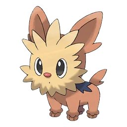 Lillipup